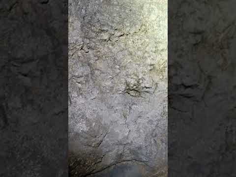 Field Searches & the Pavliš Collaboration — 3